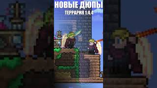 НОВЫЕ ДЮПЫ В ТЕРРАРИИ 1.4.4 #terraria #shorts #short