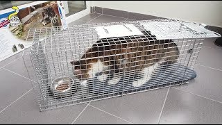 TNR - Setting up a Cat Trap - Havahart Model #1089 TNR - Setting up a Cat Trap - Havahart Model #1089