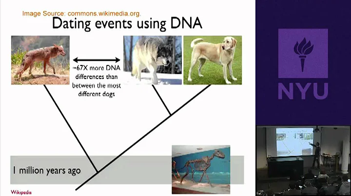 Natural Science II: Genomes and Diversity - Animal Genomics & Origin of Domestic Dogs
