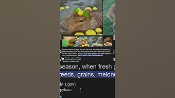 Adding the top comment to my Minecraft mod! Day 1