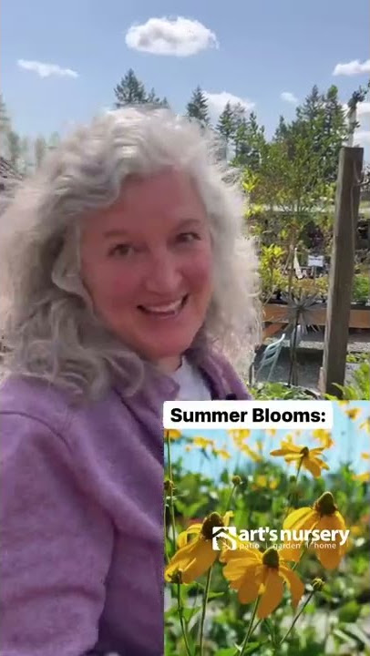 5 Perennials To Plant In Spring For Summer Blooms