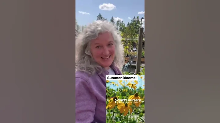 5 Perennials To Plant In Spring For Summer Blooms - DayDayNews