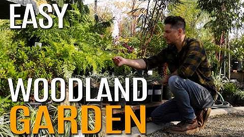 Copy My 5 Plant Recipe for a Beautiful Woodland Garden! | Landscape Design Tutorial
