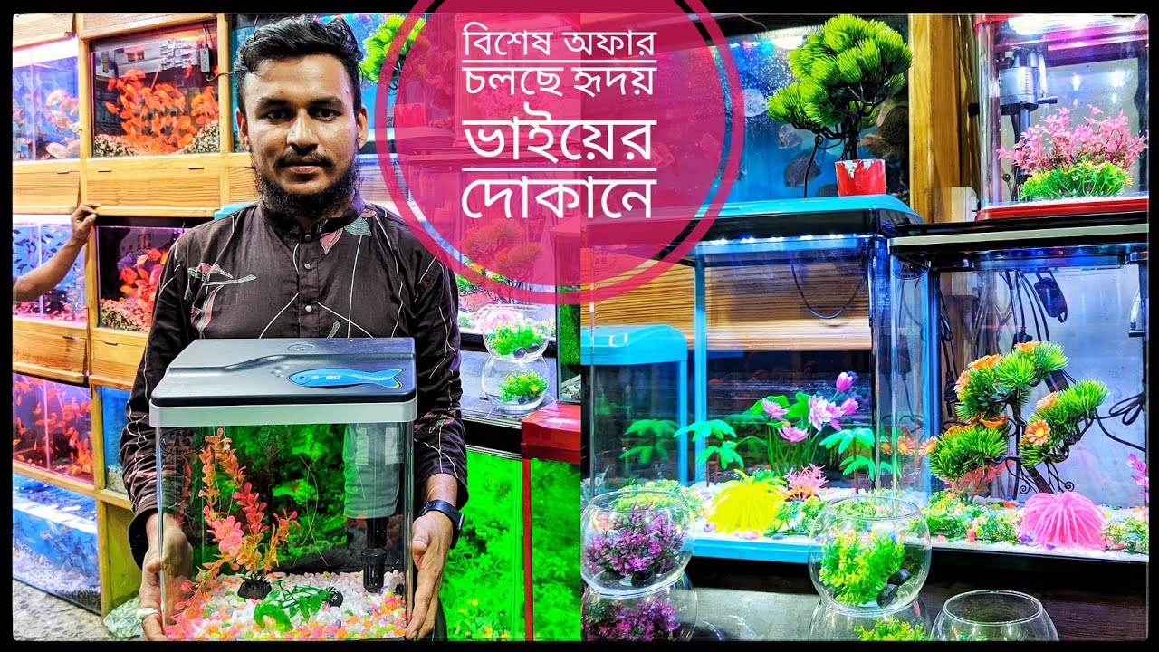 aquarium and fish price in Bangladesh।।😱😱 ধামাকা আফারে মাছ ও একুরিয়াম