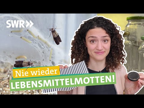 Video: Wie kann man die Volksheilmittel der Motten loswerden?