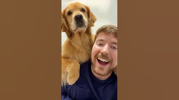 World’s Smartest Dog
