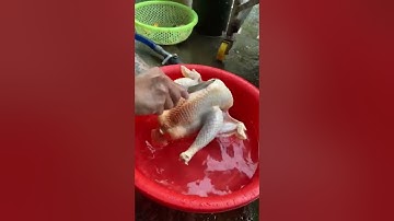 Hướng dẫn mổ gà đẹp và nhanh