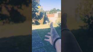 Sweet moment 💛✨ #ralentir #dogsofyoutube #dogshorts