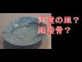 河童の皿？頭蓋骨？セメント風船でモダンな河童の皿を作る