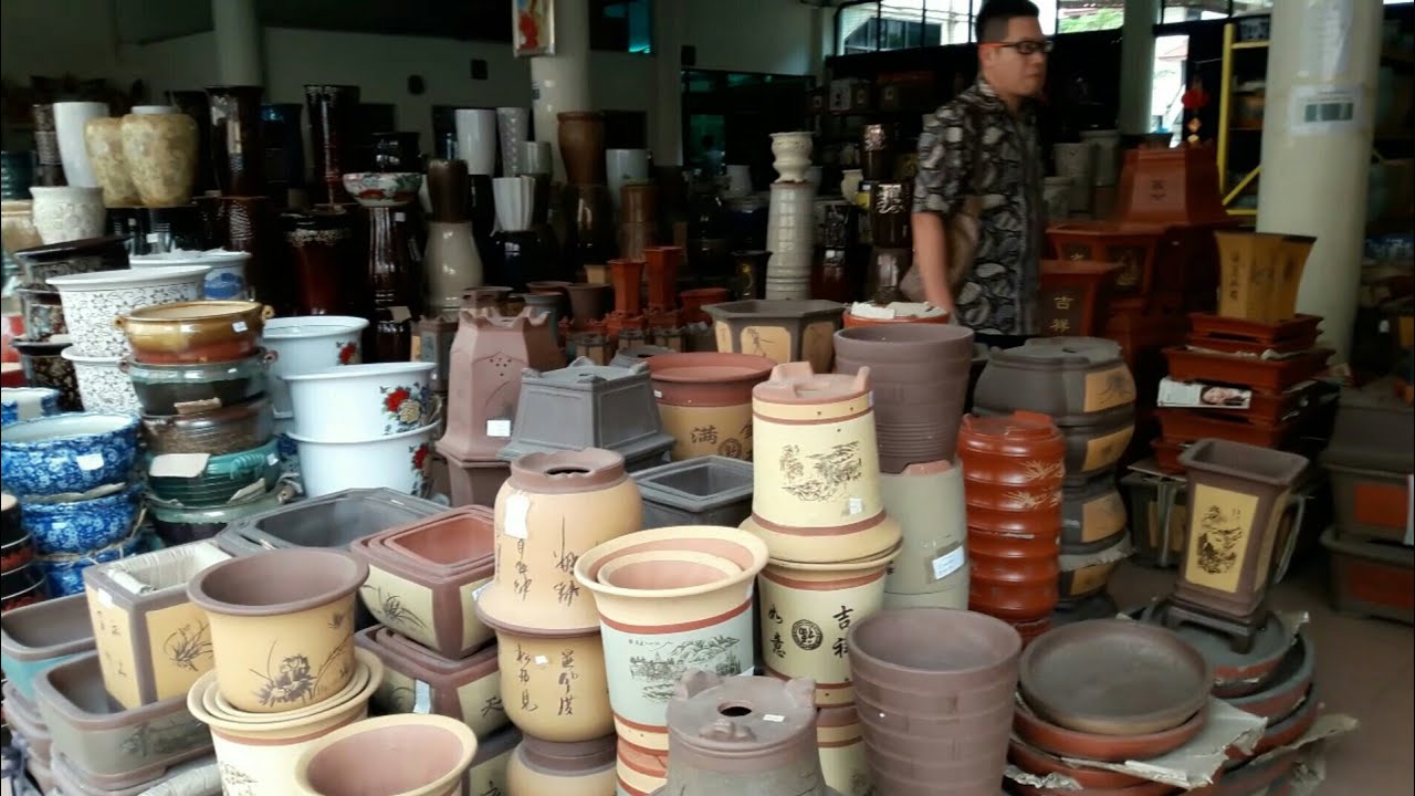 Hunting pot  keramik  import Bonsai Adenium YouTube