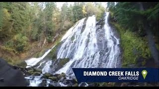 Google Trekker at Diamond Creek Falls in Oakridge | Eugene, Cascades & Coast