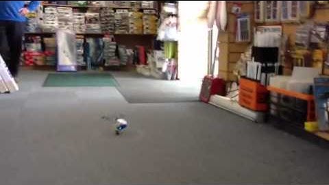 E-Flite Blade MCPX-X @ Marionville Models.