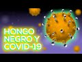 ¡El hongo Negro y COVID-19 en 6 minutos! - (Mucormicosis) (Animación)