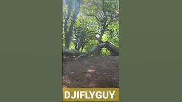 DJI Avata Motion Controller 2