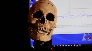 3 axis skull using a gimbal