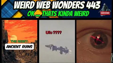 weird web wonders 443