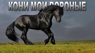 ОФИГЕННАЯ ПЕСНЯ! 👍 КОНИ МОИ ВОРОНЫЕ