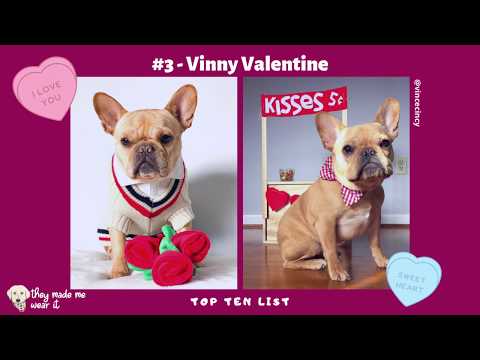 top-10-dog-costumes-for-valentine’s-day-to-sweeten-your-mood-|-best-of-2020