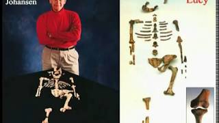Dr Don Patton - Fossil Man