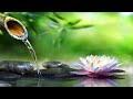 No Ads Relaxing Piano Music Water Sounds Deep Sleep Music Meditation Music To Heal Mind Body mp3