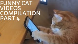 Funny Cat Videos Compilation 2020 Part 4 by khocengorend 151 views 3 years ago 11 minutes, 11 seconds