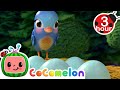 Five Little Birds on My Doorstep + More | Cocomelon - Nursery Rhymes | Fun Cartoons For Kids