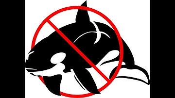 6.3.3.8 Packet Tracer CCNA 2