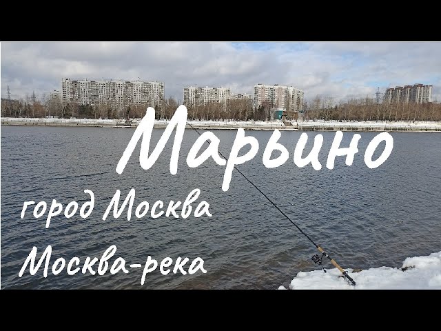 Рыбалка в Братеево на Москва-реке на фидер - советы, места, время