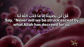 تلاوه خاشعة للقارئ رعد الكردي ( قل لن يصيبنا إلا ما كتب الله لنا )