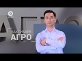 Агро | Продуктивное коневодство (30.08.2017)