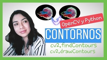 👨‍💻 CONTORNOS y como DIBUJARLOS en OpenCV y Python