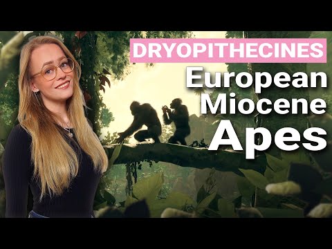 Video: Driopithecus: elinaika, elinympäristö ja kehityksen piirteet