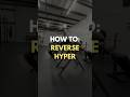 How to Perform the Reverse Hyper | Flex Club