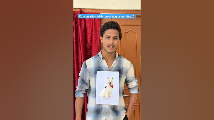 Conversation with street dog vs pet dog🐶| #shorts