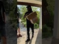 FedEx Delivery Man Goes Above and Beyond
