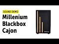 Millenium Blackbox Cajon Sound Demo
