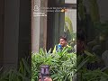 Dhoni last day #trending #love #care #bhai #Aarohi🥰❣️