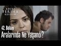 Gülsüm ve Koray arasında neler yaşandı? - Adını Feriha Koydum 42. Bölüm