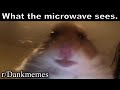 r/Dankmemes | *microwave noises*