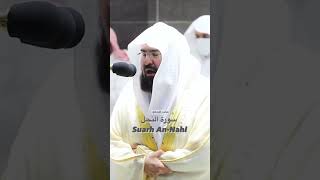 Shaikh Abdul Rahman Al Sudais Surah Nahl