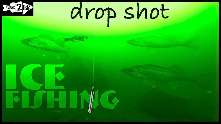 How to Ice Fish Walleye with the Drop Shot Rig