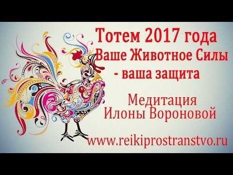 Медитация Рейки 'Тотем 2017 года.' Ваше Животное Силы -ваша защита.