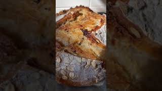 Cutting a sourdough bread