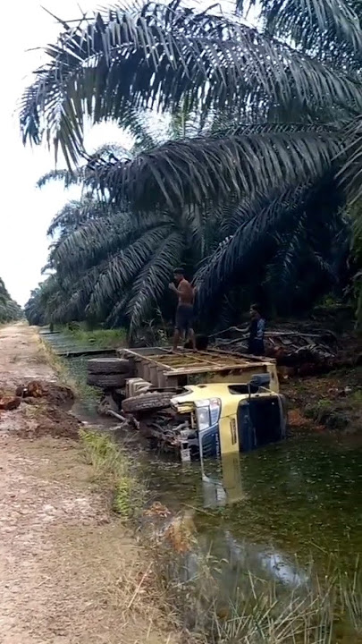Mobil truk muatan sawit jatuh terbalik #shorts  #truksawit #mobilterbalik #fyp #jalanberlumpur