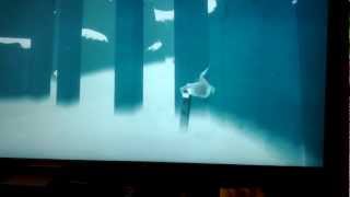 Journey stuck in snow level glitch