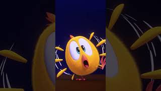 Dance With Chicky! #Dance #Shorts #Chicky | Cartoon For Kids