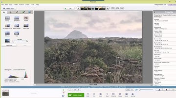 Using Picasa to Enhance your Pictures