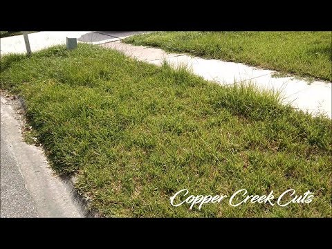 New Property Tall Grass Edging Clean-Up (Before & After ...