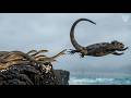 Snakes vs Iguana | Can the Iguana Escape?