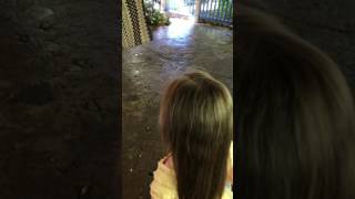 Millie Meets Pocahontas at Animal Kingdom September 2016